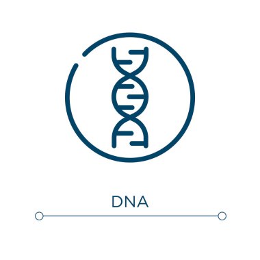 DNA ikonu. Doğrusal vektör çizimi. Taslak DNA ikon vektörü. Web ve mobil uygulamalarda kullanmak için ince çizgi sembolü, logo, yazdırma ortamı.