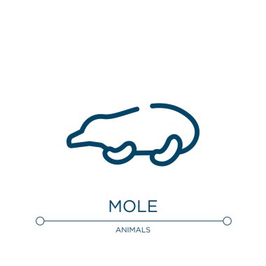 Köstebek simgesi. Hayvan koleksiyonundan doğrusal vektör çizimi. Taslak mol simgesi vektörü. Web ve mobil uygulamalarda kullanmak için ince çizgi sembolü, logo, yazdırma ortamı.