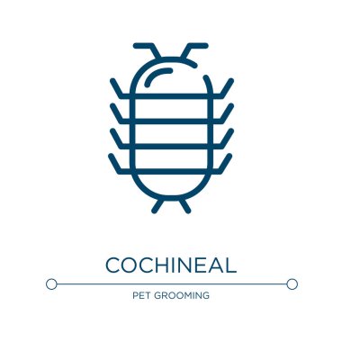 Cochineal icon. Linear vector illustration from insects collection. Outline cochineal icon vector. Thin line symbol for use on web and mobile apps, logo, print media. clipart