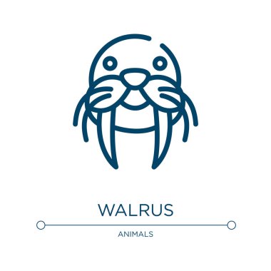 Deniz aygırı ikonu. Hayvan koleksiyonundan doğrusal vektör çizimi. Ana hatlı deniz aygırı ikonu vektörü. Web ve mobil uygulamalarda kullanmak için ince çizgi sembolü, logo, yazdırma ortamı.