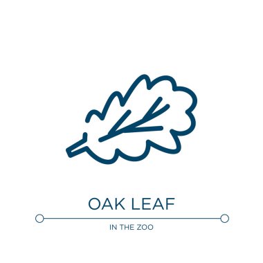 Meşe yaprağı ikonu. Doğa koleksiyonundan doğrusal vektör çizimi. Ana hatlı meşe yaprağı ikonu vektörü. Web ve mobil uygulamalarda kullanmak için ince çizgi sembolü, logo, yazdırma ortamı.