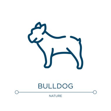 Bulldog ikonu. Hayvan koleksiyonundan doğrusal vektör çizimi. Buldog ikon vektörünü özetle. Web ve mobil uygulamalarda kullanmak için ince çizgi sembolü, logo, yazdırma ortamı.