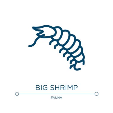 Büyük karides ikonu. Hayvanat bahçesi koleksiyonundan doğrusal vektör çizimi. Ana hatlarıyla büyük karides ikonu vektörü. Web ve mobil uygulamalarda kullanmak için ince çizgi sembolü, logo, yazdırma ortamı.