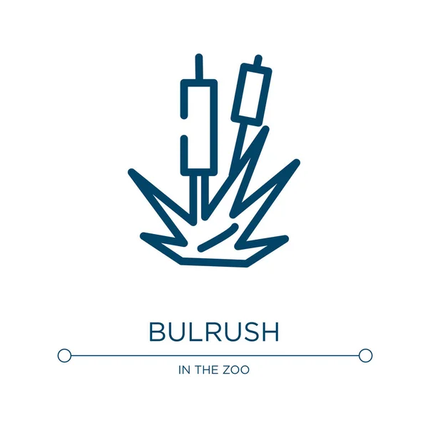 Bulrush Ikone Lineare Vektorillustration Aus Der Natursammlung Umriss Bulrush Symbol — Stockvektor