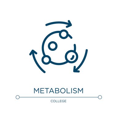 Metabolizma simgesi. Biyoloji koleksiyonundan doğrusal vektör çizimi. Taslak metabolizma ikon vektörü. Web ve mobil uygulamalarda kullanmak için ince çizgi sembolü, logo, yazdırma ortamı.