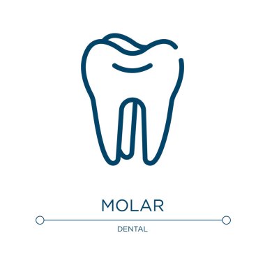 Azı dişi simgesi. Sağlık koleksiyonundan doğrusal vektör çizimi. Anahat molar ikon vektörü. Web ve mobil uygulamalarda kullanmak için ince çizgi sembolü, logo, yazdırma ortamı.