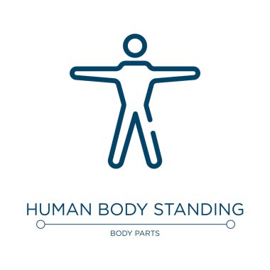 İnsan vücudu ayakta duran bir ikon. Vücut parçaları koleksiyonundan doğrusal vektör çizimi. İnsan vücudunun ana hatları ikon vektörü. Web ve mobil uygulamalarda kullanmak için ince çizgi sembolü, logo, yazdırma ortamı.