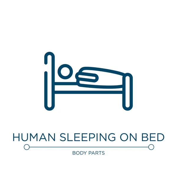 Dormir Humano Ícone Cama Ilustração Vetorial Linear Medicina Coleta Saúde — Vetor de Stock