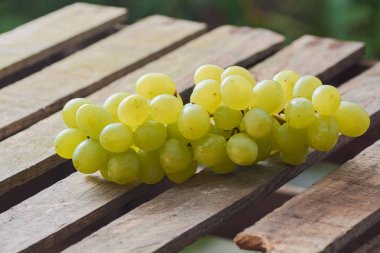 üzüm olgun yaz aylarında hafif bir arka plan üzerinde sulu