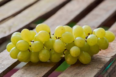 üzüm olgun yaz aylarında hafif bir arka plan üzerinde sulu