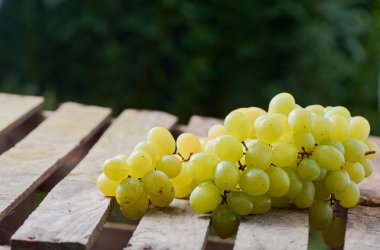 üzüm olgun yaz aylarında hafif bir arka plan üzerinde sulu