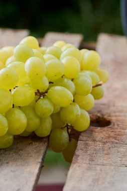 üzüm olgun yaz aylarında hafif bir arka plan üzerinde sulu