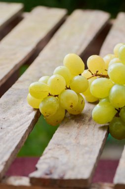 üzüm olgun yaz aylarında hafif bir arka plan üzerinde sulu