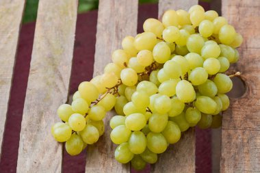 üzüm olgun yaz aylarında hafif bir arka plan üzerinde sulu