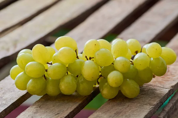 üzüm olgun yaz aylarında hafif bir arka plan üzerinde sulu