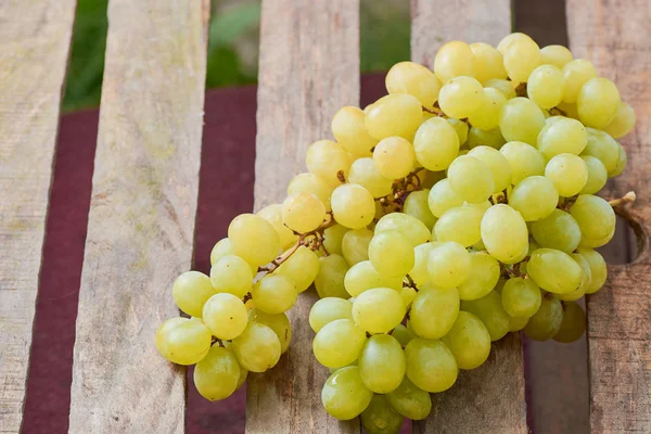 üzüm olgun yaz aylarında hafif bir arka plan üzerinde sulu