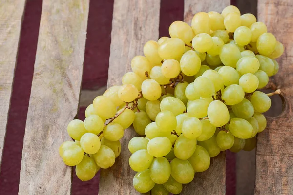 üzüm olgun yaz aylarında hafif bir arka plan üzerinde sulu