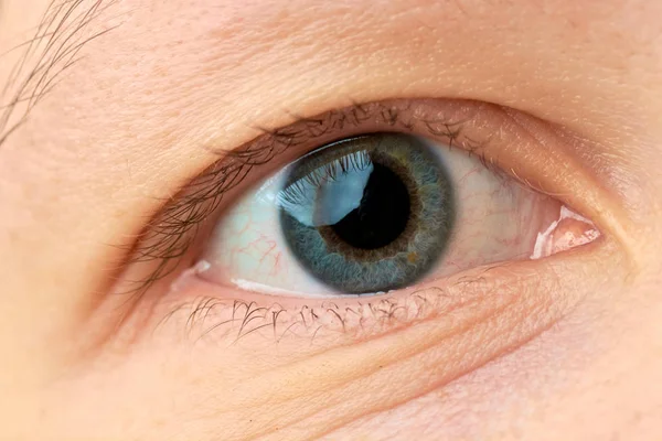 protein ve renkli göz yakın çekim