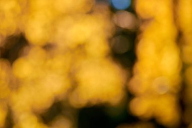 bulanık hafif bir arka plan üzerinde sarı bokeh