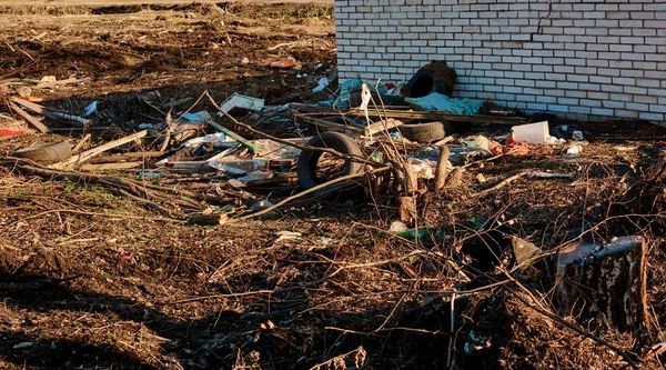 su enkaz ekoloji hayvanların ihlali