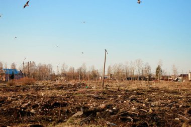 su enkaz ekoloji hayvanların ihlali