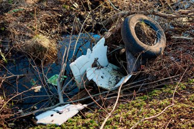 su enkaz ekoloji hayvanların ihlali