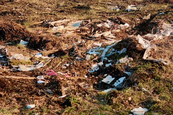 Detriti in acqua una violazione degli animali ecologia — Foto Stock