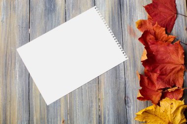 Sonbahar yaprakları ahşap bir zemin üzerinde bir kağıt yaprağıyla