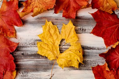 Düşen sonbahar yapraklarının renkli dikey çerçevesi