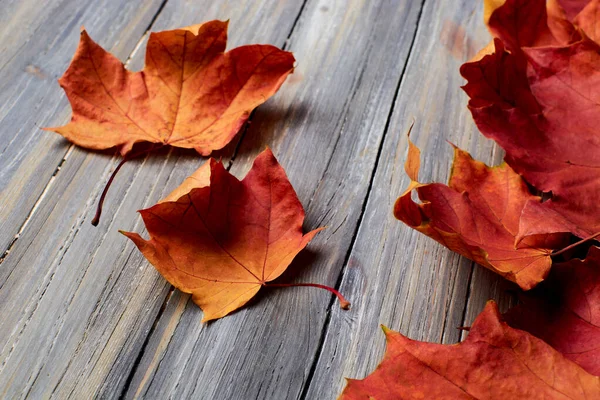autumn leaves on a wooden background removed