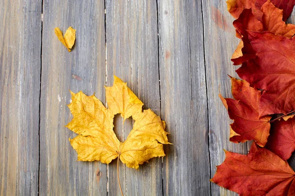 autumn leaves on a wooden background removed