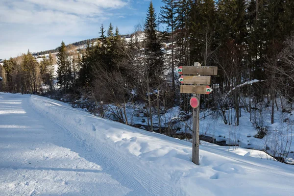 雪覆盖的山路上的木质方向路径标志 — 图库照片