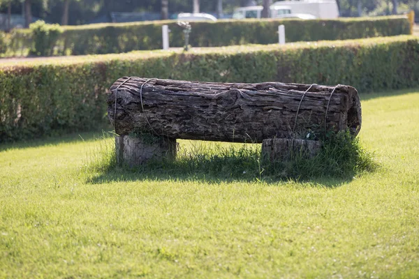 Equestrian Hinder Trunk Horisontellt Läge För Hästhoppning Konkurrens — Stockfoto