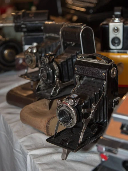 Appareils photo pliants anciens avec soufflet sur leurs étuis en cuir Images De Stock Libres De Droits