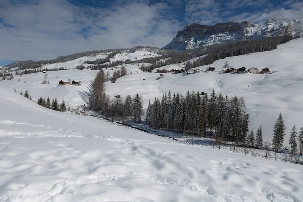 美丽的山天 白雪覆盖的冷杉 雪山全景 — 图库照片
