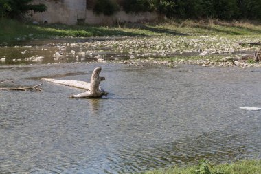 Çakıl taşları ve Baharda Az Su.