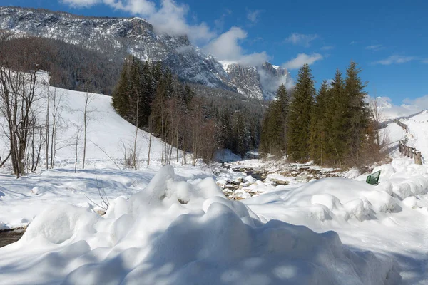 Beautiful Day in the Mountains with Snow-covered Fir Trees and a Snowy Mountain Panorama.