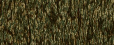 soyut dijital duvar kağıdı, yosunlu ağaç kabuğu dokusu arkaplanı