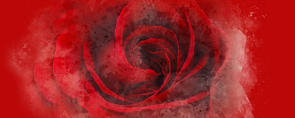 Akvarell Röd Ros Borste Bakgrund — Stockfoto