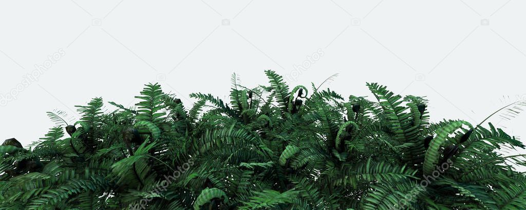 3d background illustration with green fern leaves