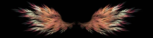 Vleugels Van Woestijnroofvogels Zwarte Achtergrond — Stockfoto