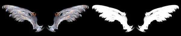 氷の鳥は クリッピングパスと黒の背景に羽 — ストック写真