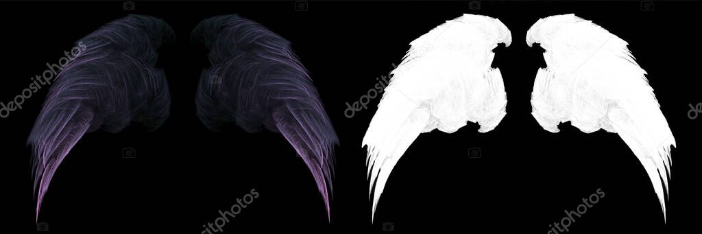 Black abstract smooth angel feather with white clipping mask