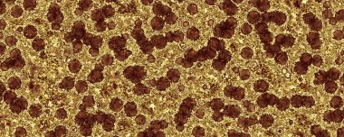 3D illüstrasyon fantezi polen virüs mikroorganizması