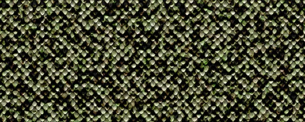 3D纹理绿蛇皮 — 图库照片