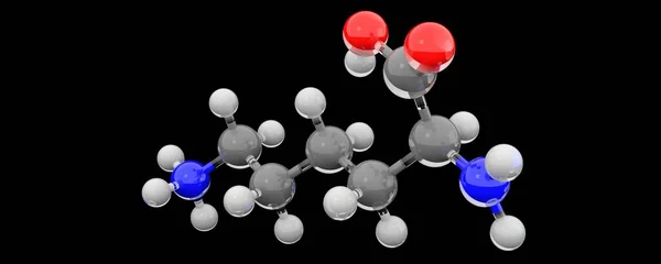 赖氨酸分子的3D化学结构 — 图库照片