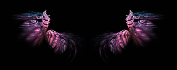 Pink Fantasy Angel Wings Black Background — Stock Photo, Image