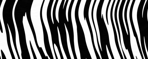 Materiaal Zebra Huid Textuur Achtergrond — Stockfoto