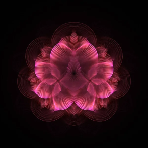 Λαμπερό Ροζ Φόντο Λουλουδιών Λωτού — Φωτογραφία Αρχείου