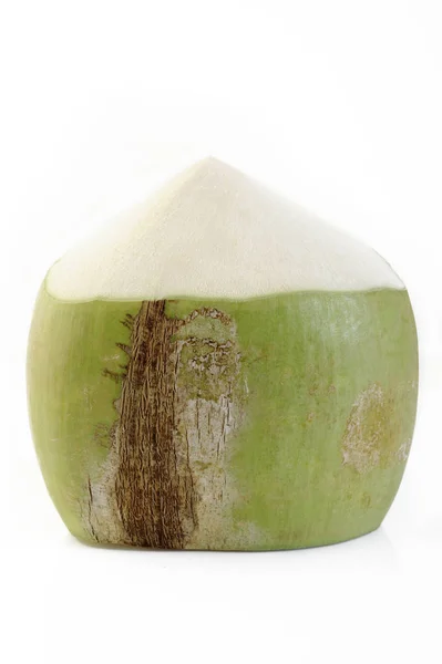 Verse Jonge Kokosnoot Witte Achtergrond — Stockfoto